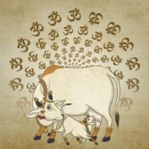 Luxury Heritage & Pichwai Art Wallpaper Collection (Spiritual, Rajwada & Designer Mural Designs)